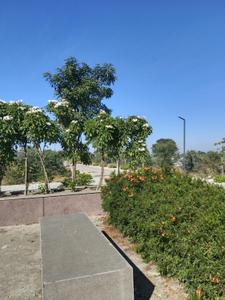 Image of 2000 Sq.ft Residential Plot / Land for sale in Skye City, Mayakhedi, Indore for Rs. 4400000