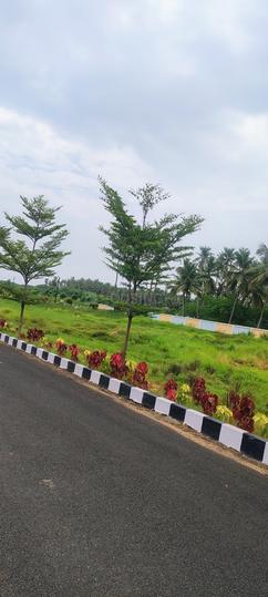 Diamond City Main Image 1