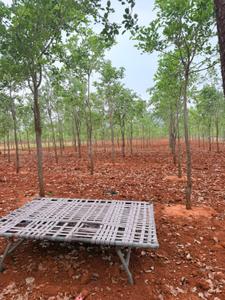 Image of 10800 Sq.ft Residential Plot / Land for sale in Donakonda, Prakasam for Rs. 1050000