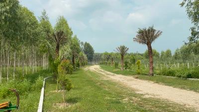 Image of 900 Sq.ft Residential Plot / Land for sale in Sahastradhara Road, Dehradun for Rs. 950000