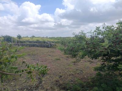 Image of 500 Sq.ft Residential Plot / Land for sale in Lohegaon, Pune for Rs. 1609000