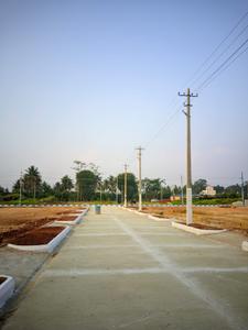 Erayaa shivoham greens  Plot View 2