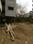 Narhe Main Image 1