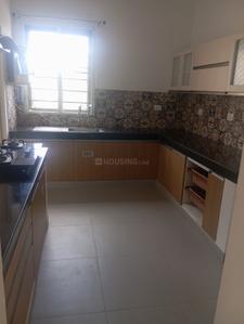 Kitchen Image of 1980 Sq.ft 3 BHK Builder Floor for rent in Adyar Chennai for Rs. 95000