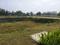Sector 40 Main Image 1