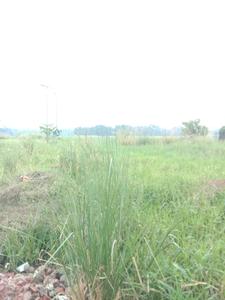 Image of 720 Sq.ft Residential Plot / Land for sale in Fresco Fountain City Plots, Sankharipota, Raypur for Rs. 260500