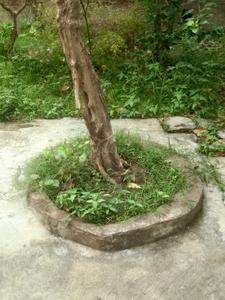 Image of 2880 Sq.ft 5 BHK Independent House for sale in Chandannagar, Hooghly for Rs. 10000000