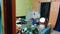 Shyamali Apartment Bedroom Two 2