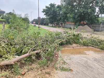 Image of 920 Sq.ft Residential Plot / Land for sale in Ghodi Bachheda, Greater Noida for Rs. 64400000