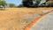 Palaspa, Shirdhon Plot View 2