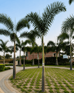 Image of 1100 Sq.ft Residential Plot / Land for sale in Abhinav City, Vidhan Sabha Road, Raipur for Rs. 3410000