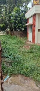 Image of 1250 Sq.ft 2 BHK Independent House for rent in Jeppinamogaru, Mangalore for Rs. 55000