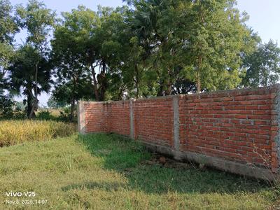 Bihta Plot View 2