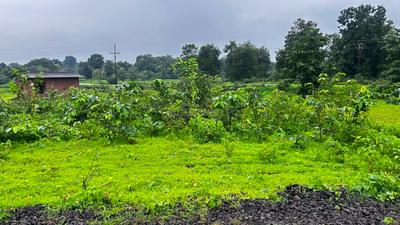 Image of 29403 Sq.ft Residential Plot / Land for sale in Murbad, Thane for Rs. 3510000