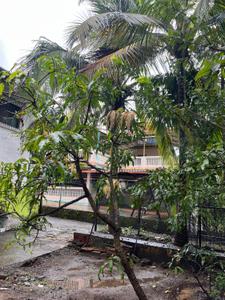 Image of 3500 Sq.ft 6 BHK Villa for sale in Nagaon, Alibag for Rs. 12000000