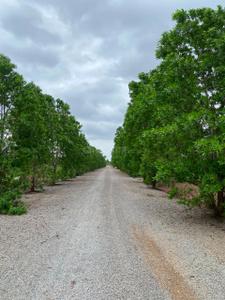 Image of 1200 Sq.ft Residential Plot / Land for sale in Sarkanda, Bilaspur for Rs. 838801
