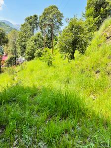 Image of 600 Sq.ft Residential Plot / Land for sale in Nathuakhan, Nainital for Rs. 6000000