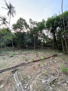 Loutolim Plot View 3