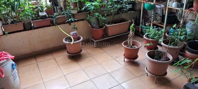 Balcony Image of 1689 Sq.ft 3 BHK Apartment / Flat for sale in Erandwane Pune for Rs. 32500000