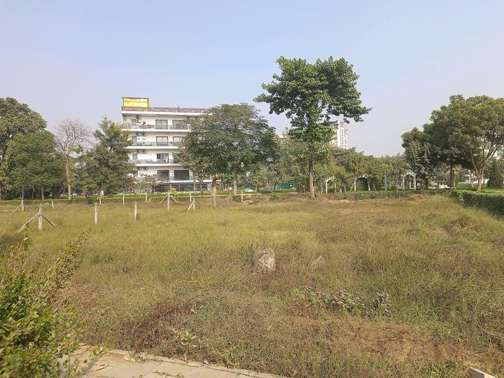 Uppal Gurgaon 99 Main Image 1