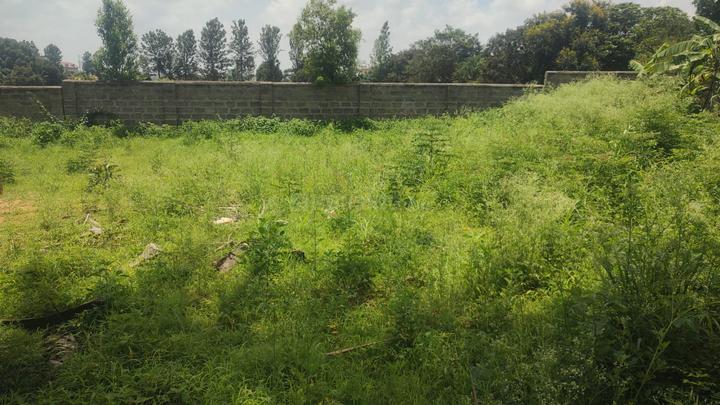 Nisarga Plot Main Image 1