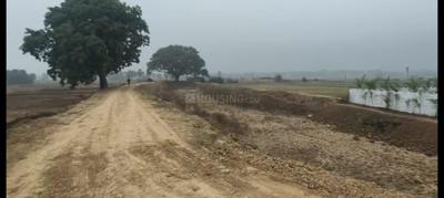 Image of 2400 Sq.ft Residential Plot / Land for sale in Dharampura, Nalanda for Rs. 3360009