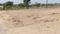 Sulur Plot View 2