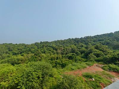 Image of 1237 Sq.ft 2 BHK Builder Floor for sale in Siolim, Goa for Rs. 17200000