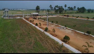 Powerpet Plot View 1