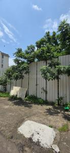 Image of 34000 Sq.ft Residential Plot / Land for sale in Shiv Nagar Sutarwadi, Pune for Rs. 480000000