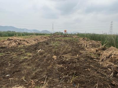 Image of 804 Sq.ft Residential Plot / Land for sale in Payakapuram, Vijayawada for Rs. 20000000