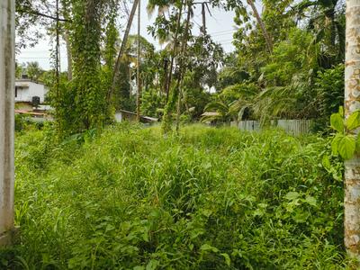 Image of 1210 Sq.ft Residential Plot / Land for sale in Chungam, Alappuzha for Rs. 11500000