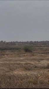 Image of 111 Sq.ft Residential Plot / Land for sale in Dholera Global City, Dholera, Ahmedabad for Rs. 999000