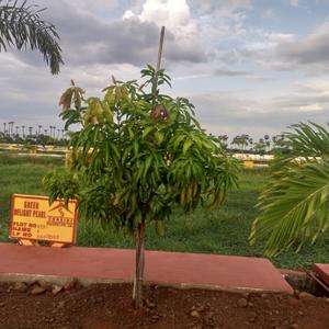 Image of 1980 Sq.ft Residential Plot / Land for sale in Amaravati, Guntur for Rs. 5500000