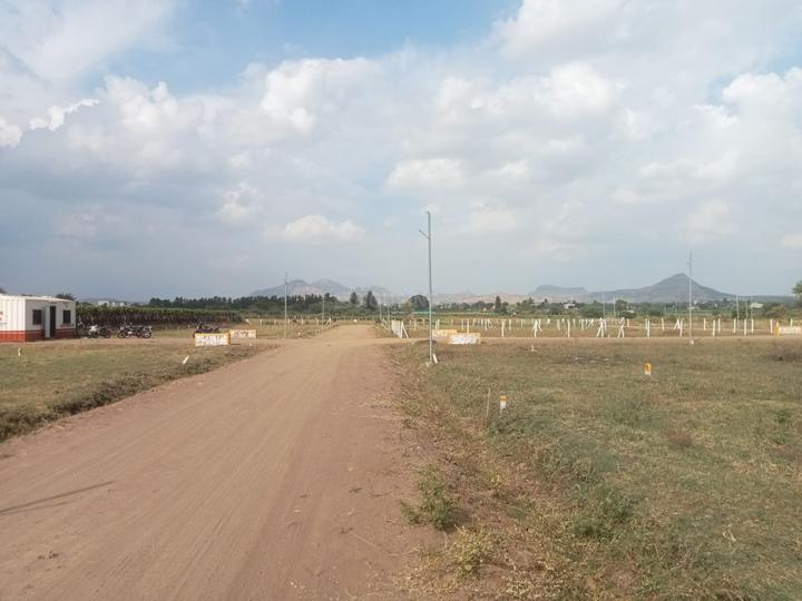 M R Enterprices Golden Shower Main Image 1