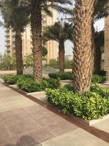 Image of 1500 Sq.ft 3 BHK Apartment / Flat for sale in DLF The Primus, Sector 82A, Gurgaon for Rs. 28400000