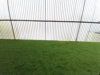 Balcony Image of 2700 Sq.ft 4 BHK Independent House for sale in DLF City Phase 1, DLF Phase 1 Gurgaon for Rs. 42100000