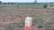 Shadnagar Main Image 1