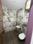 Mohayal colony sector 40 Bathroom 1