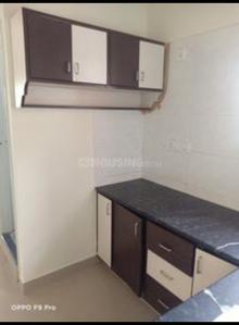 Kitchen Image of 700 Sq.ft 1 BHK Independent House for rent in C V Raman Nagar Bengaluru for Rs. 22000