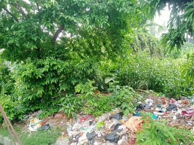 Sarada Palli Plot View 2