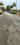 Experion The Westerlies Main Image 1
