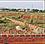 Patrapada Plot View 2