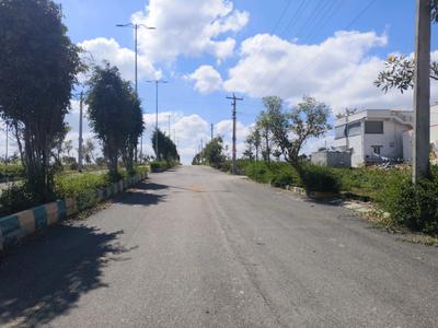 Residential Plot