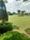 Sector 8 Plot View 2