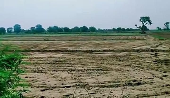 Sawargaon, Narkhed Main Image 1