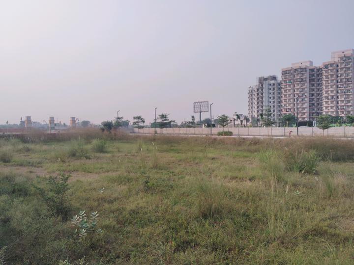 Skywhales Vienna Greens II Main Image 1