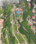Jamoliwala, Bhagwant Pur Main Image 1