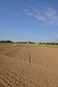 Image of 1089 Sq.ft Residential Plot / Land for sale in Sarde, Navi Mumbai for Rs. 420000