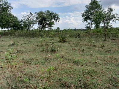 Image of 99000 Sq.ft Residential Plot / Land for sale in Bankura Lokepur, Bankura for Rs. 300000